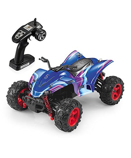 3. GP TOYS 1/24 Scale RC Rirder