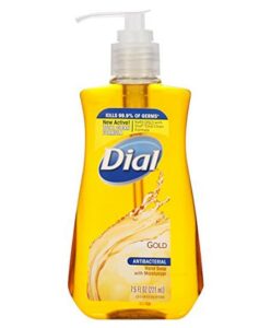 Dial Foaming Hand Soap