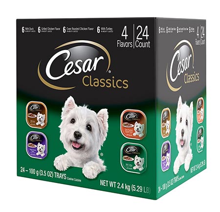 1 CESAR Classics Poultry Flavored Adult Wet Dog Food Trays