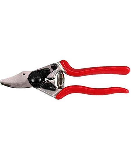 7. Pexio Premium Titanium Bypass Pruning Shears