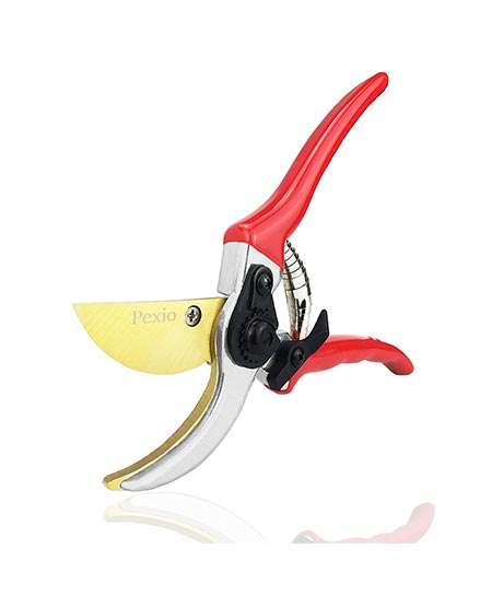 4. Felco F-6 Classic Pruner