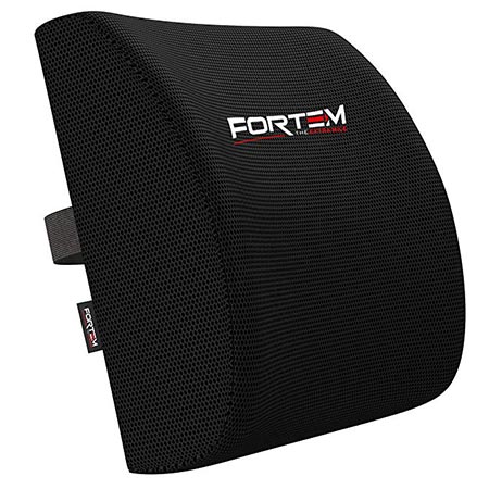 9. FORTEM THE EXTRA MILE Lumbar Support For Office Chair