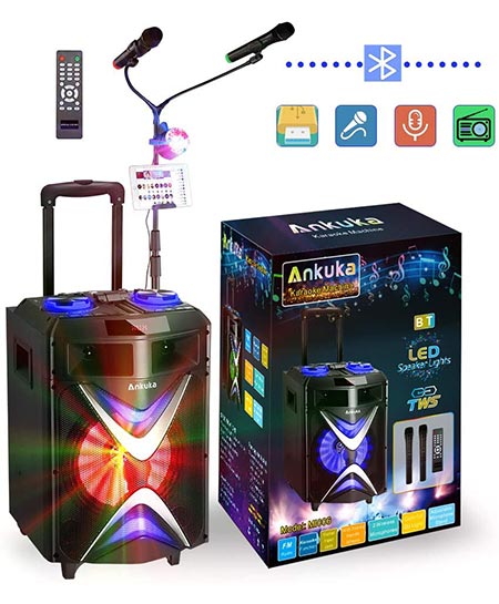 3. Ankuka Portable Karaoke System