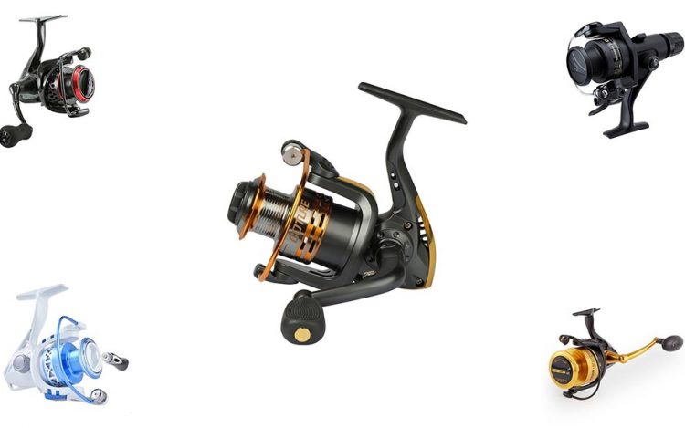 The Best Lightweight Spinning Fishing Reels in 2021