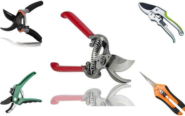 The Best Hand Pruners And Pruning Shears Reviews in 2021