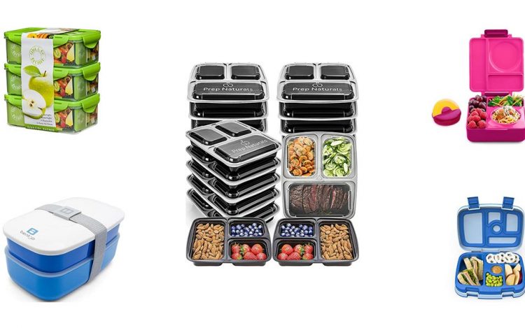 The Best Bento Boxes for Food Storage Reviews in 2021